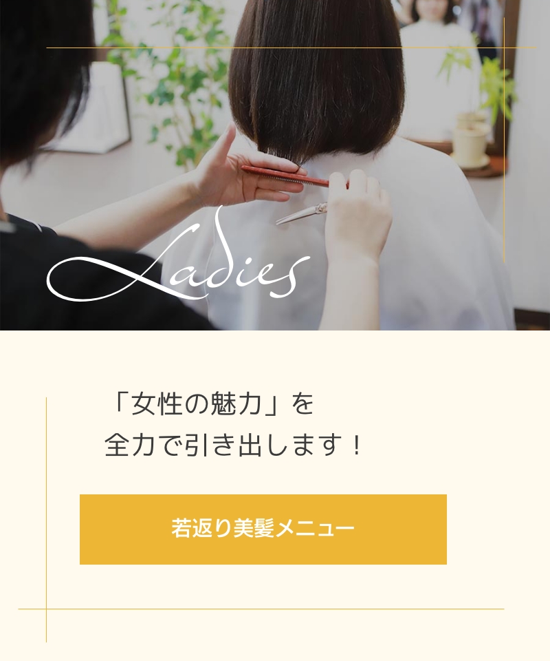 女性の魅力を全力で引き出す若返り美髪メニュー